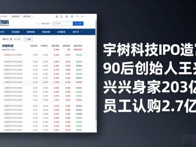 宇树科技IPO造富，90后创始人王兴兴身家203亿，员工认购2.7亿