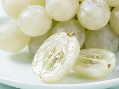 8月正当季！水果脑袋必炫的天津茶淀玫瑰香葡萄，错过等一年